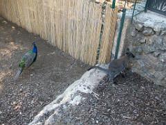 183 D22 SANARY SUR MER 2_000005